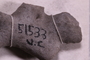 UC 51533 fossil2