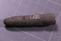 UC 51544 fossil