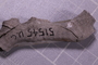 UC 51545 fossil