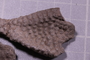 UC 39518 fossil2