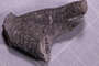 UC 45230 fossil2