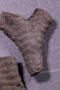 UC 45232 fossil2