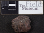 PP 11874 [HS, M] Plantae, Moscovian / Desmoinesian, Francis Creek Shale Member, United States of America, Illinois, Will