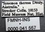 Synemon collecta G labels