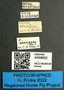4099662 Chrysops aberrans labels