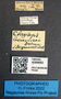 4099682 Chrysops beameri labels