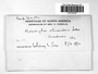Label image for C0315243F