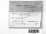 Label image for C0318314F