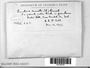 Label image for C0318554F