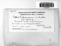 Label image for C0319335F