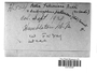 Label image for C0319348F
