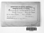 Label image for C0319552F