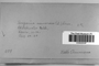 Label image for C0322253F
