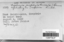 Label image for C1027365F