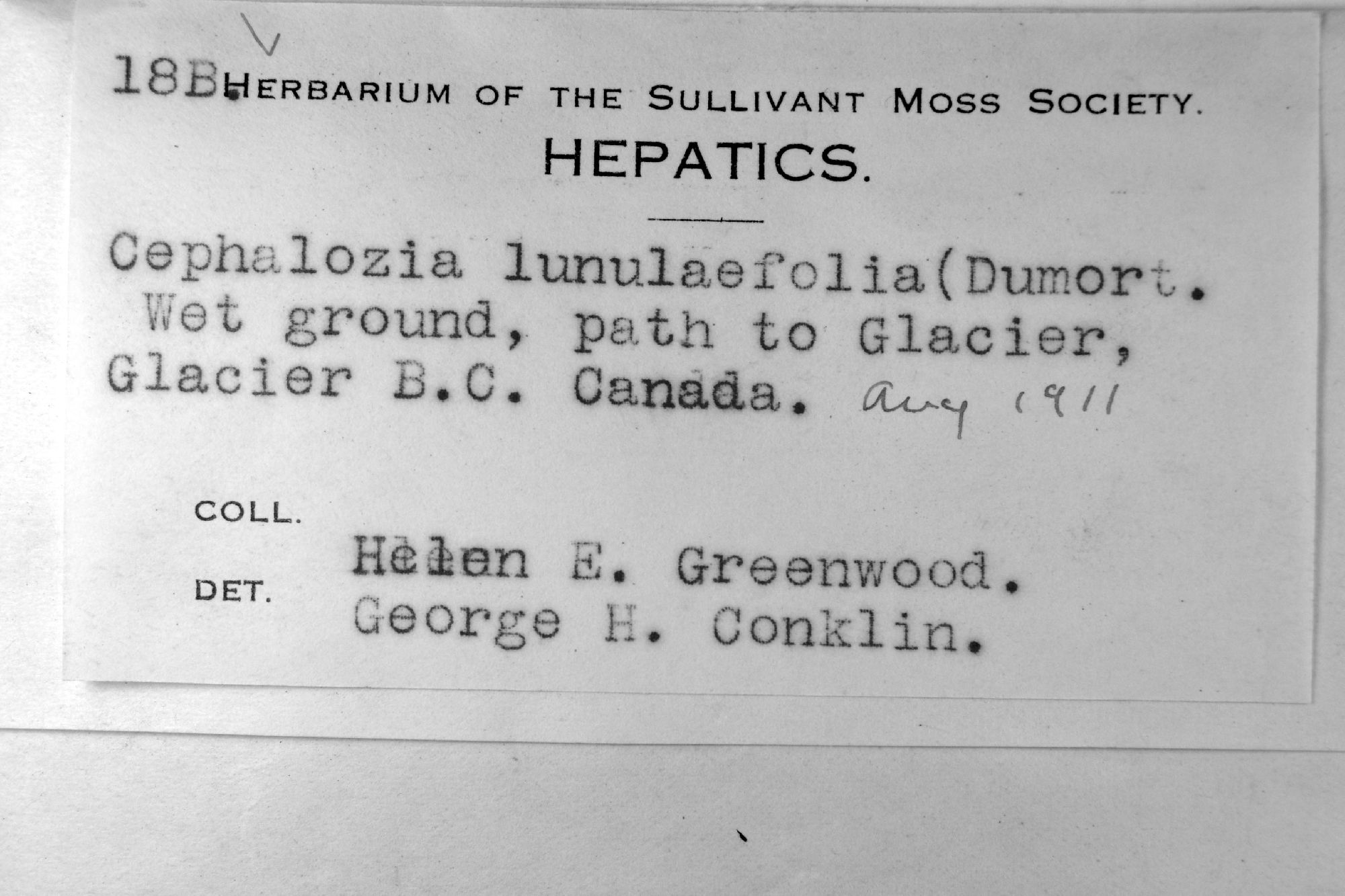 H. E. Greenwood Botanical Collections