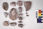48593 clay (ceramic) vessel fragments (sherds)