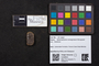 PP35867_image_1