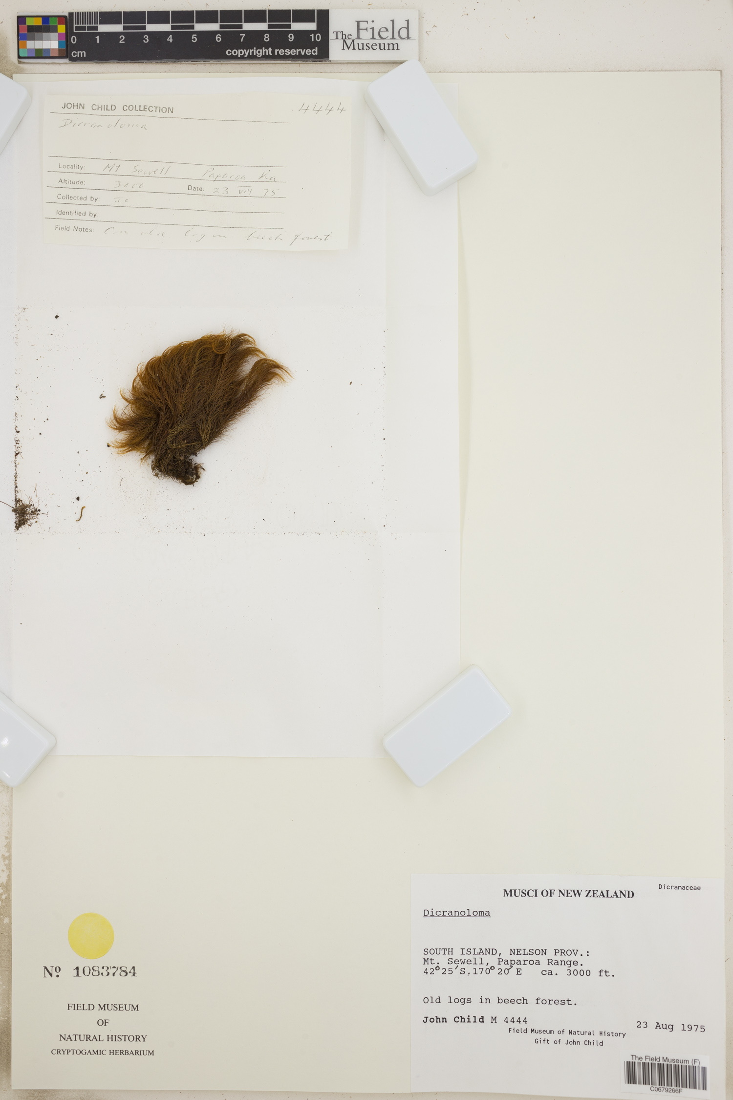 J. Child Botanical Collections