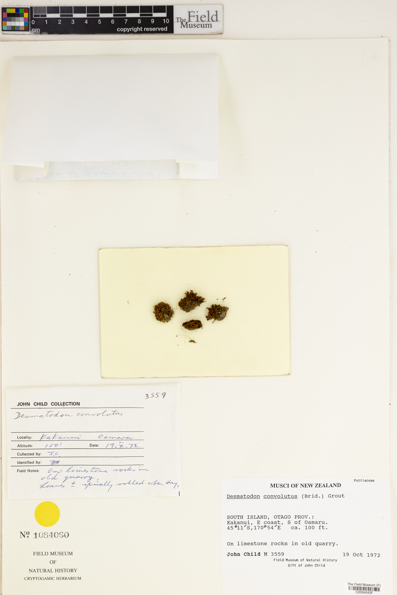 J. Child Botanical Collections