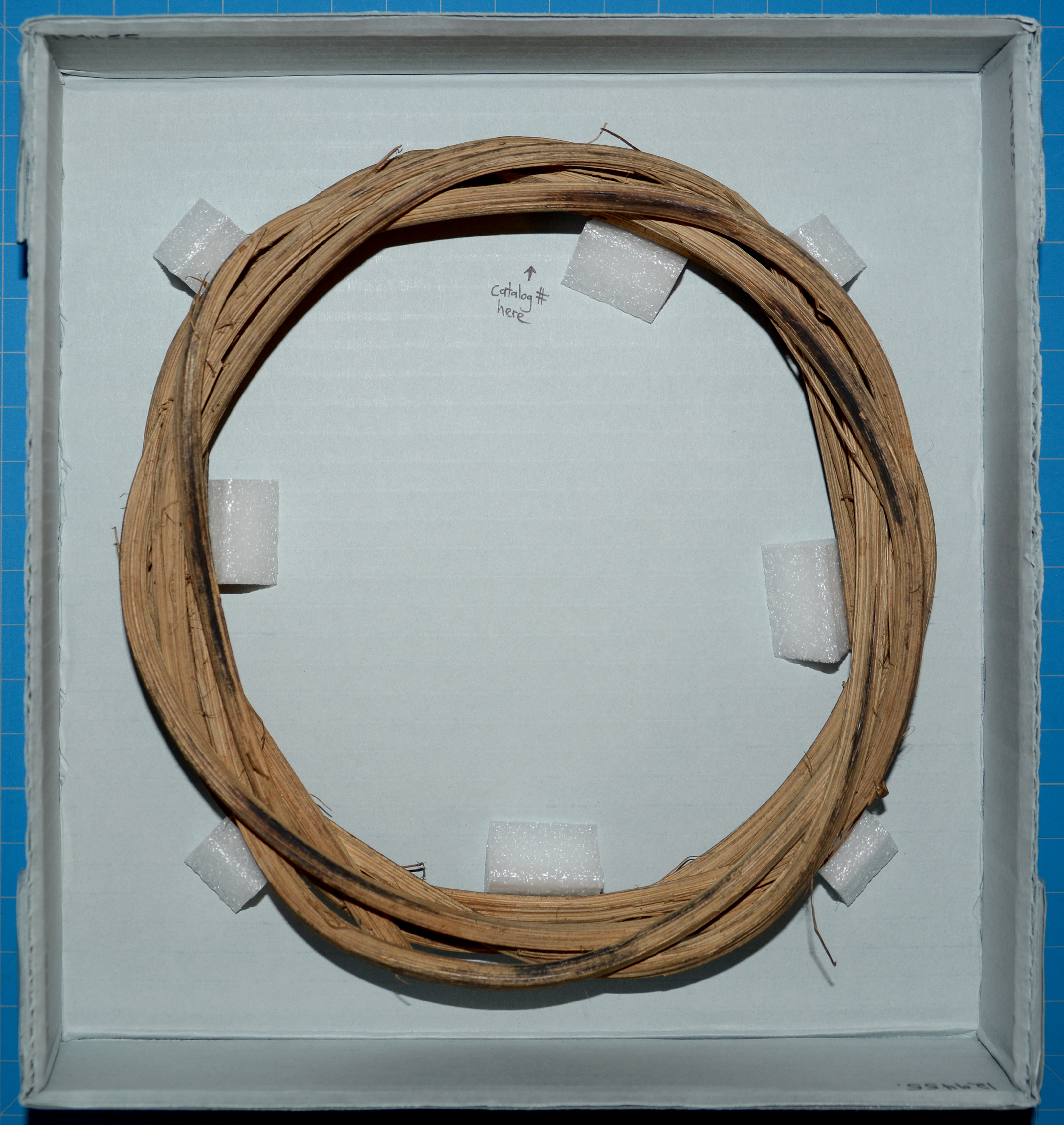 reference image in mount 