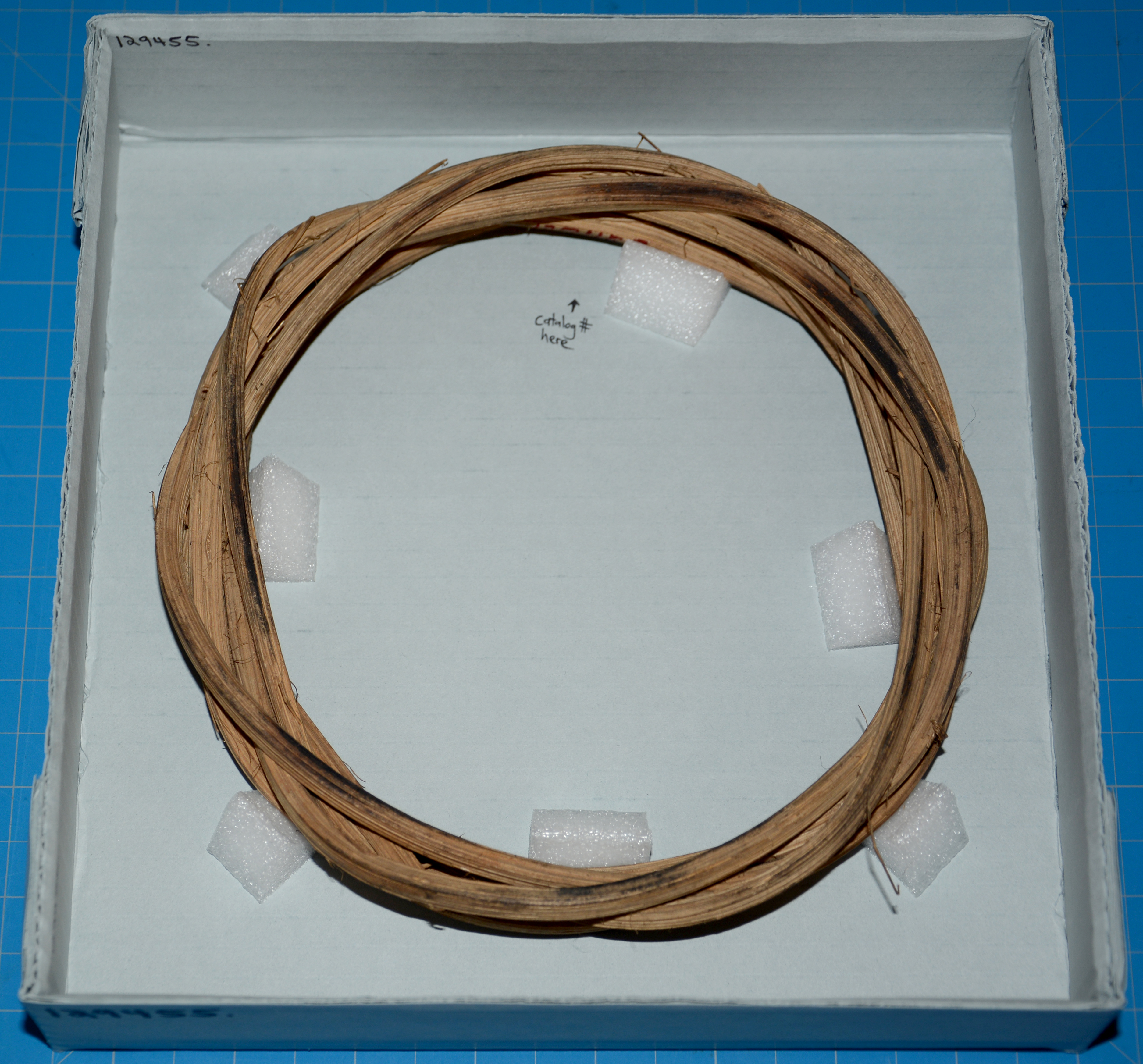 reference image in mount, angle 