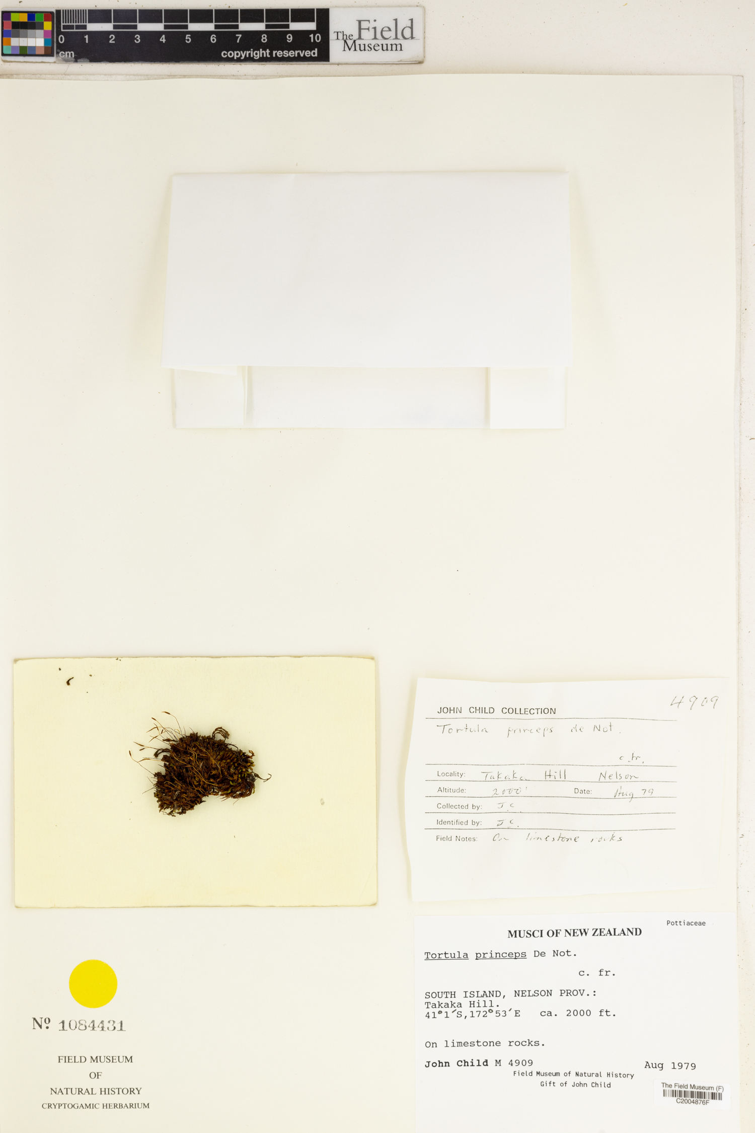 J. Child Botanical Collections