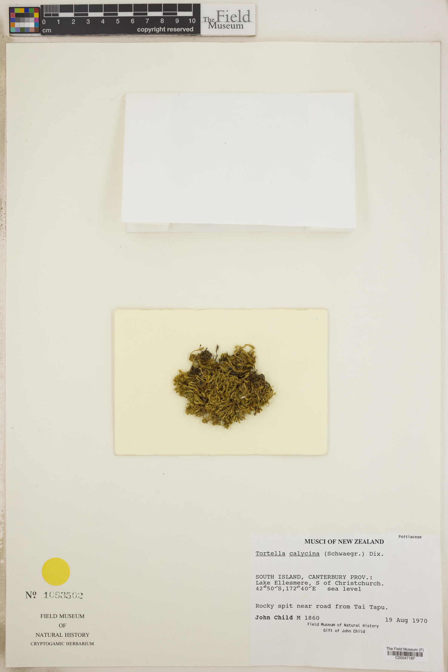 J. Child Botanical Collections