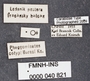 Pheggomisetes buresi PT labels