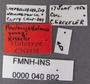 Pseudanophthalmus youngi youngi HT labels