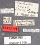 Trechisibus topali PT labels