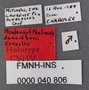 Pseudanophthalmus donaldsoni HT labels