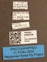 4099706 Chrysops callidus labels IN