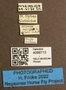 4099712 Chrysops callidus F labels IN