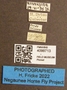 4099713 Chrysops callidus labels IN