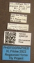 4099739 Chrysops cincticornis labels IN