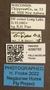4099785 Chrysops frigidus labels IN