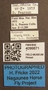 4099871 Chrysops niger labels IN