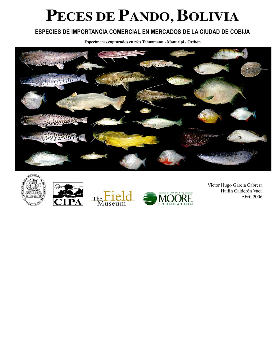 Species of commercial importance in markets of the city of Cobija