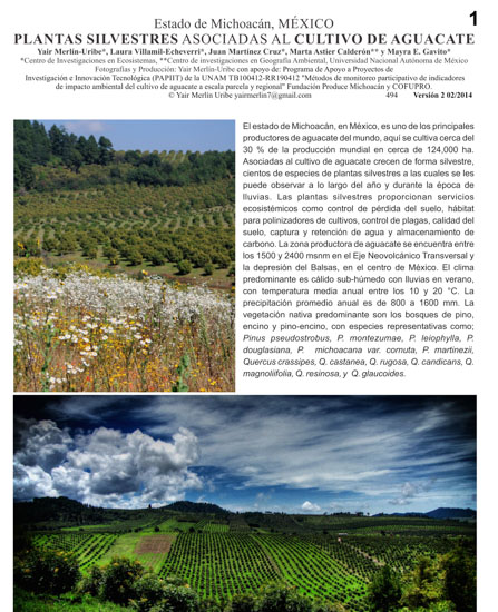 Plantas silvestres asociada al cultivo de aguacate