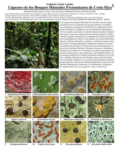Líquens das Florestas Úmidas Premontanas da Costa Rica