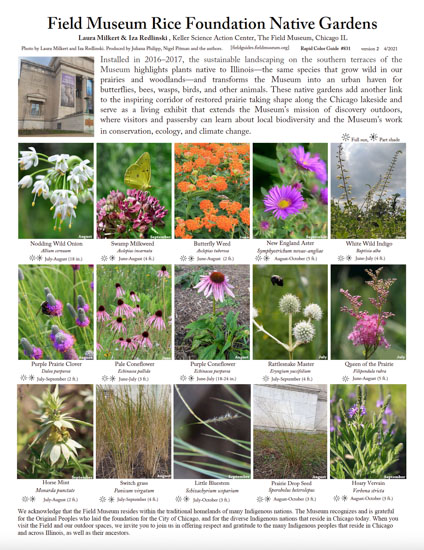 Jardínes Nativos de la Fundación Rcie de Field Museum