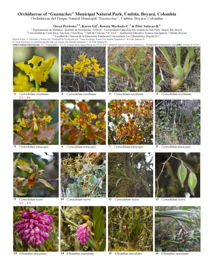 Orchidaceae of "Guanachas" Municipal Natural Park