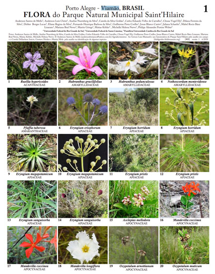 Flora of Saint' Hilaire Municipal Park