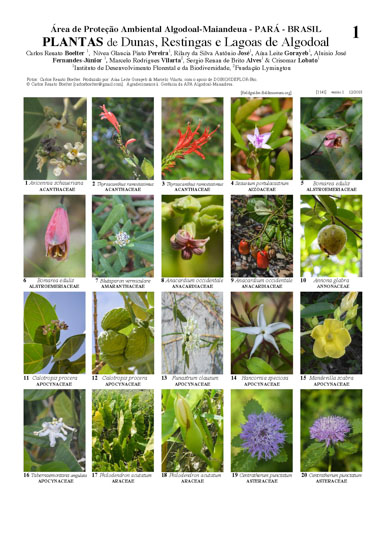 Plantas de la Área de Protección Ambiental Algodoal-Maiandeua