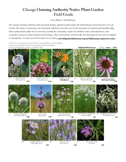 Chicago Housing Authority Native Plant Garden