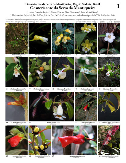 Gesneriaceae de la Serra da Mantiqueira