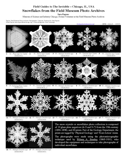 Snowflakes of Field Museum Photo Archives