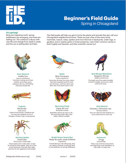 Beginner's Field Guide: Spring in Chicagoland
