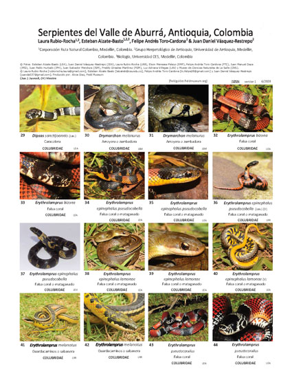 Serpentes do Vale Aburrá