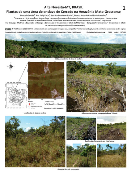 Plantas de una área de enclave del Cerrado en la selva amazónica de Mato Grosso